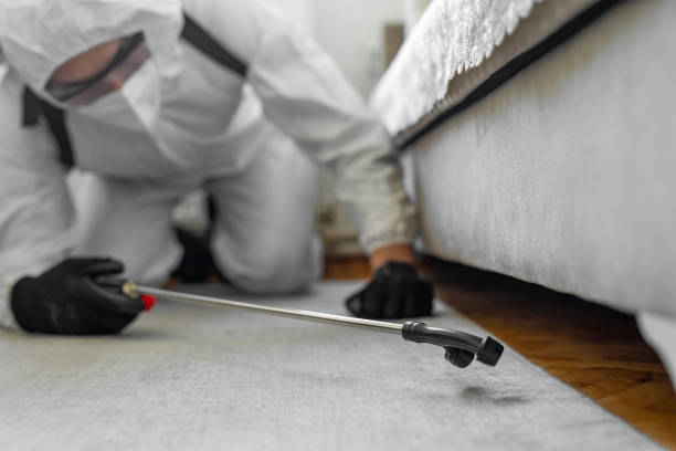 Professional Cockroach Control technician working in De Kalb, TX