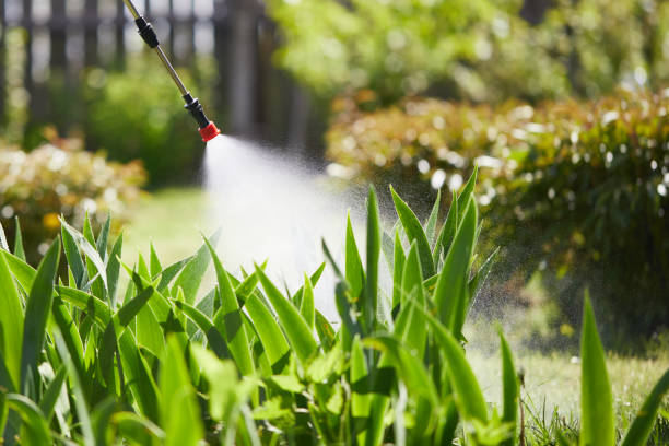 24/7 Emergency Cockroach Control experts in De Kalb, TX